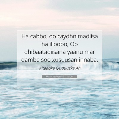 Picture 07 - Maahmaahyadii 31:7 SOM - Ha cabbo, oo caydhnimadiisa ha illoobo, Oo - Bible Verse Picture