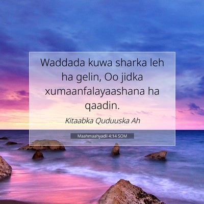 Picture 07 - Maahmaahyadii 4:14 SOM - Waddada kuwa sharka leh ha gelin, Oo jidka - Bible Verse Picture