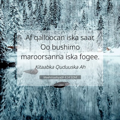 Picture 07 - Maahmaahyadii 4:24 SOM - Af qalloocan iska saar, Oo bushimo maroorsanna - Bible Verse Picture