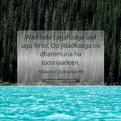 Picture 07 - Maahmaahyadii 4:26 SOM - Waddada cagahaaga aad ugu fiirso, Oo jidadkaaga - Bible Verse Picture