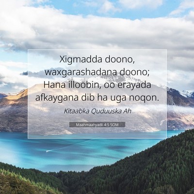 Picture 07 - Maahmaahyadii 4:5 SOM - Xigmadda doono, waxgarashadana doono; Hana - Bible Verse Picture