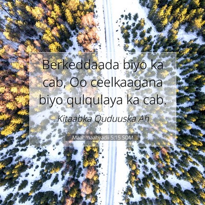 Picture 07 - Maahmaahyadii 5:15 SOM - Berkeddaada biyo ka cab, Oo ceelkaagana biyo - Bible Verse Picture