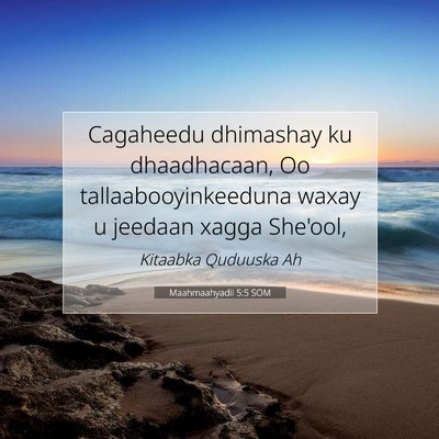 Picture 07 - Maahmaahyadii 5:5 SOM - Cagaheedu dhimashay ku dhaadhacaan, Oo - Bible Verse Picture