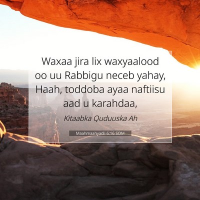 Picture 07 - Maahmaahyadii 6:16 SOM - Waxaa jira lix waxyaalood oo uu Rabbigu neceb - Bible Verse Picture