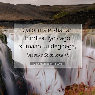 Picture 07 - Maahmaahyadii 6:18 SOM - Qalbi male shar ah hindisa, Iyo cago xumaan ku - Bible Verse Picture