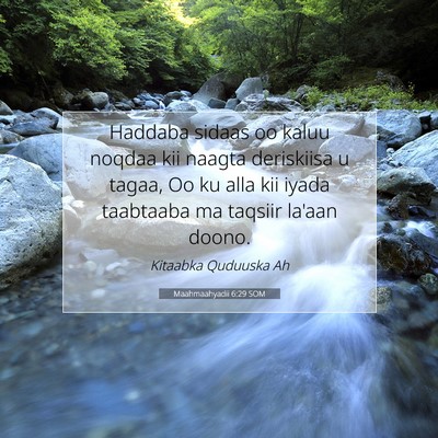 Picture 07 - Maahmaahyadii 6:29 SOM - Haddaba sidaas oo kaluu noqdaa kii naagta - Bible Verse Picture