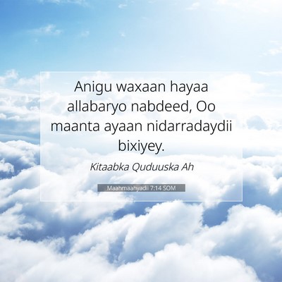 Picture 07 - Maahmaahyadii 7:14 SOM - Anigu waxaan hayaa allabaryo nabdeed, Oo maanta - Bible Verse Picture