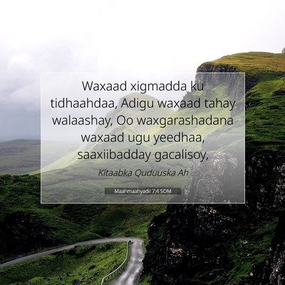 Picture 07 - Maahmaahyadii 7:4 SOM - Waxaad xigmadda ku tidhaahdaa, Adigu waxaad tahay - Bible Verse Picture