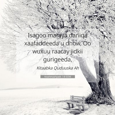 Picture 07 - Maahmaahyadii 7:8 SOM - Isagoo maraya dariiqa xaafaddeeda u dhow, Oo - Bible Verse Picture