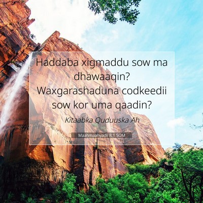 Picture 07 - Maahmaahyadii 8:1 SOM - Haddaba xigmaddu sow ma dhawaaqin? Waxgarashaduna - Bible Verse Picture