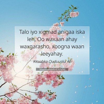 Picture 07 - Maahmaahyadii 8:14 SOM - Talo iyo xigmad anigaa iska leh, Oo waxaan ahay - Bible Verse Picture