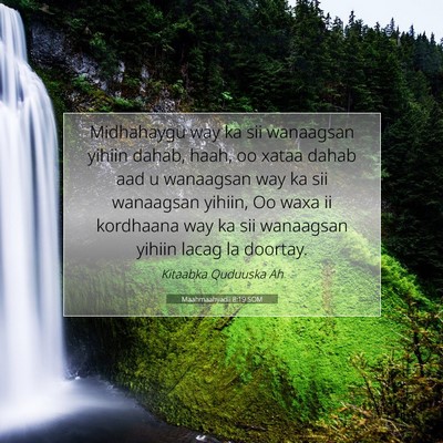 Picture 07 - Maahmaahyadii 8:19 SOM - Midhahaygu way ka sii wanaagsan yihiin dahab, - Bible Verse Picture