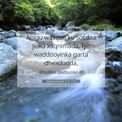 Picture 07 - Maahmaahyadii 8:20 SOM - Anigu waxaan ku socdaa jidka xaqnimada, Iyo - Bible Verse Picture