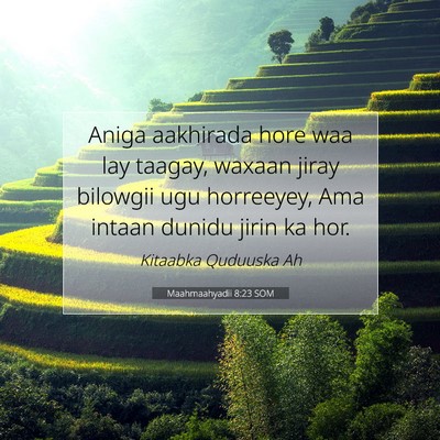 Picture 07 - Maahmaahyadii 8:23 SOM - Aniga aakhirada hore waa lay taagay, waxaan jiray - Bible Verse Picture