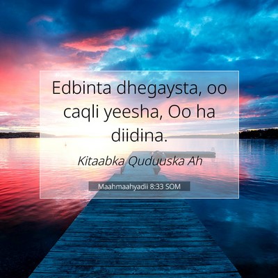 Picture 07 - Maahmaahyadii 8:33 SOM - Edbinta dhegaysta, oo caqli yeesha, Oo ha - Bible Verse Picture