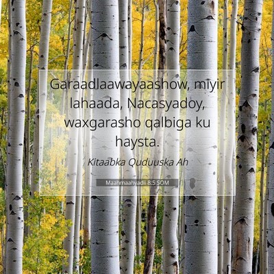 Picture 07 - Maahmaahyadii 8:5 SOM - Garaadlaawayaashow, miyir lahaada, Nacasyadoy, - Bible Verse Picture