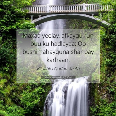 Picture 07 - Maahmaahyadii 8:7 SOM - Maxaa yeelay, afkaygu run buu ku hadlayaa; Oo - Bible Verse Picture