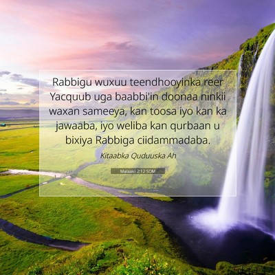 Picture 07 - Malaakii 2:12 SOM - Rabbigu wuxuu teendhooyinka reer Yacquub uga - Bible Verse Picture