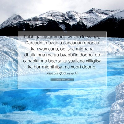 Picture 07 - Malaakii 3:11 SOM - Rabbiga ciidammadu wuxuu leeyahay, Daraaddiin - Bible Verse Picture