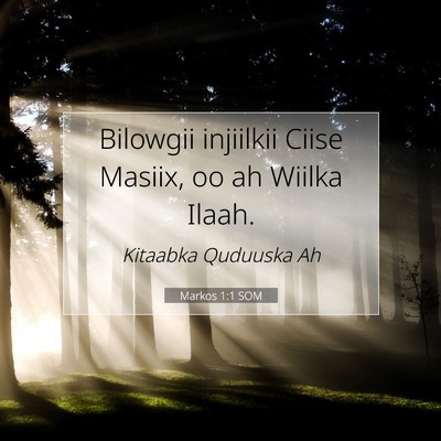 Picture 07 - Markos 1:1 SOM - Bilowgii injiilkii Ciise Masiix, oo ah Wiilka - Bible Verse Picture