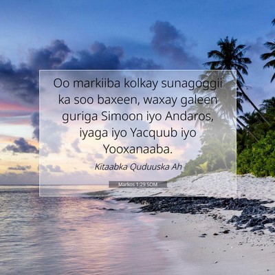 Picture 07 - Markos 1:29 SOM - Oo markiiba kolkay sunagoggii ka soo baxeen, - Bible Verse Picture
