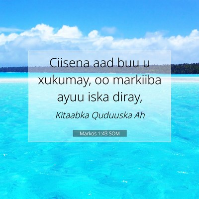 Picture 07 - Markos 1:43 SOM - Ciisena aad buu u xukumay, oo markiiba ayuu iska - Bible Verse Picture