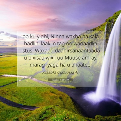 Picture 07 - Markos 1:44 SOM - oo ku yidhi, Ninna waxba ha kala hadlin, laakiin - Bible Verse Picture