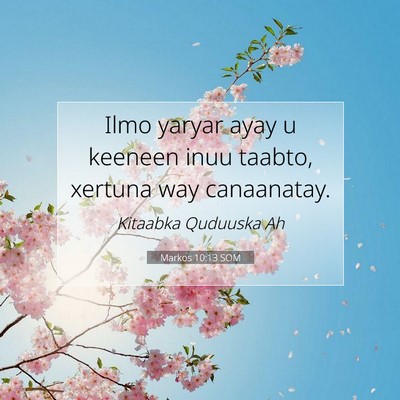 Picture 07 - Markos 10:13 SOM - Ilmo yaryar ayay u keeneen inuu taabto, xertuna - Bible Verse Picture