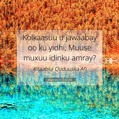 Picture 07 - Markos 10:3 SOM - Kolkaasuu u jawaabay oo ku yidhi, Muuse muxuu - Bible Verse Picture