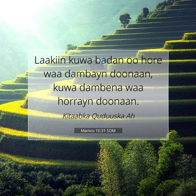 Picture 07 - Markos 10:31 SOM - Laakiin kuwa badan oo hore waa dambayn doonaan, - Bible Verse Picture