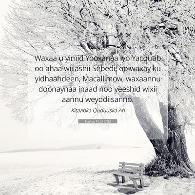 Picture 07 - Markos 10:35 SOM - Waxaa u yimid Yooxanaa iyo Yacquub oo ahaa - Bible Verse Picture