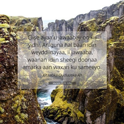 Picture 07 - Markos 11:29 SOM - Ciise ayaa u jawaabay oo ku yidhi, Aniguna hal - Bible Verse Picture