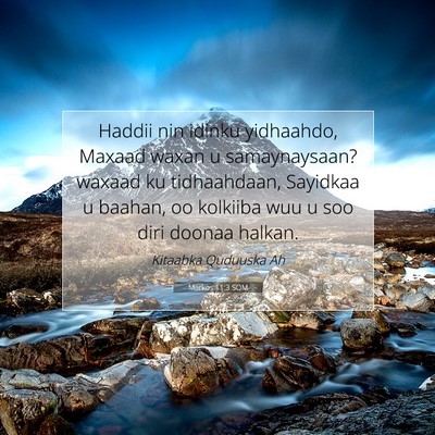 Picture 07 - Markos 11:3 SOM - Haddii nin idinku yidhaahdo, Maxaad waxan u - Bible Verse Picture