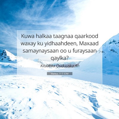 Picture 07 - Markos 11:5 SOM - Kuwa halkaa taagnaa qaarkood waxay ku - Bible Verse Picture