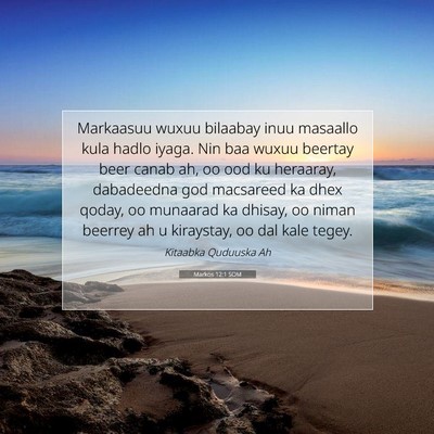 Picture 07 - Markos 12:1 SOM - Markaasuu wuxuu bilaabay inuu masaallo kula hadlo - Bible Verse Picture