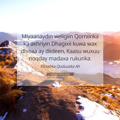 Picture 07 - Markos 12:10 SOM - Miyaanaydin weligiin Qorniinka ka akhriyin - Bible Verse Picture