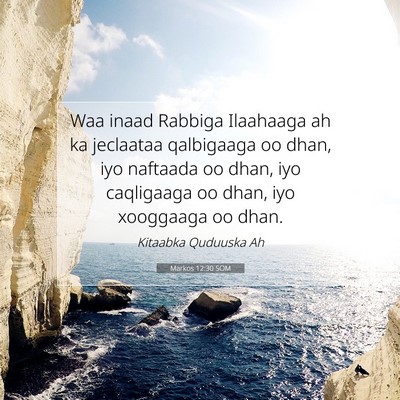 Picture 07 - Markos 12:30 SOM - Waa inaad Rabbiga Ilaahaaga ah ka jeclaataa - Bible Verse Picture