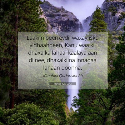 Picture 07 - Markos 12:7 SOM - Laakiin beerreydii waxay isku yidhaahdeen, Kanu - Bible Verse Picture