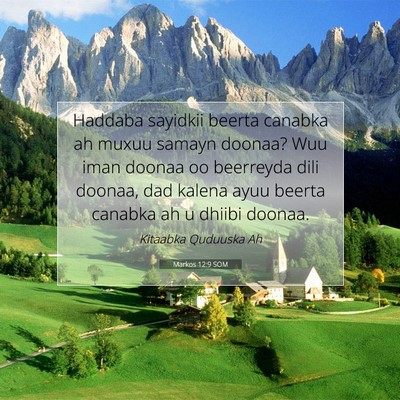 Picture 07 - Markos 12:9 SOM - Haddaba sayidkii beerta canabka ah muxuu samayn - Bible Verse Picture