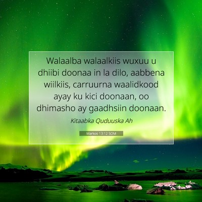 Picture 07 - Markos 13:12 SOM - Walaalba walaalkiis wuxuu u dhiibi doonaa in la - Bible Verse Picture