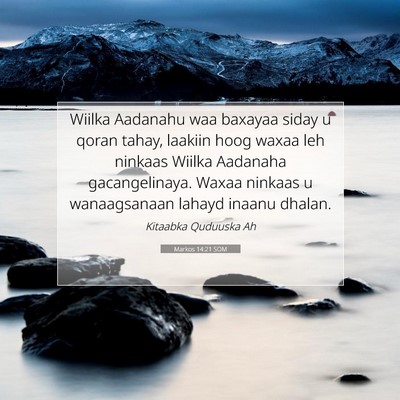 Picture 07 - Markos 14:21 SOM - Wiilka Aadanahu waa baxayaa siday u qoran tahay, - Bible Verse Picture