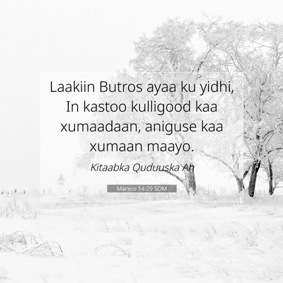 Picture 07 - Markos 14:29 SOM - Laakiin Butros ayaa ku yidhi, In kastoo kulligood - Bible Verse Picture