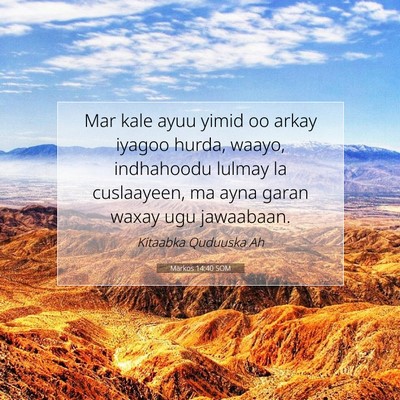 Picture 07 - Markos 14:40 SOM - Mar kale ayuu yimid oo arkay iyagoo hurda, waayo, - Bible Verse Picture