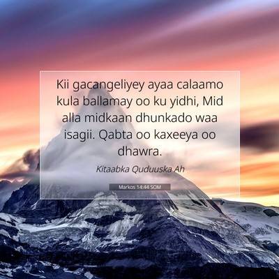 Picture 07 - Markos 14:44 SOM - Kii gacangeliyey ayaa calaamo kula ballamay oo ku - Bible Verse Picture