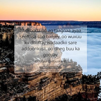 Picture 07 - Markos 14:47 SOM - Midkooda oo ag taagnaa ayaa seeftiisa soo - Bible Verse Picture