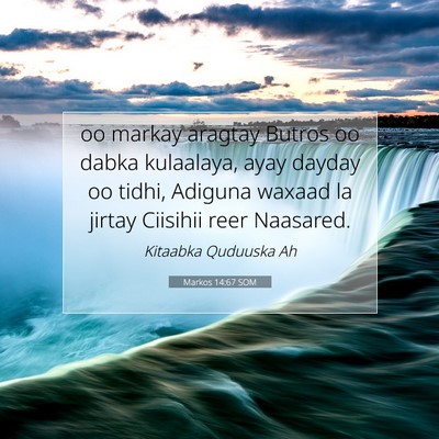 Picture 07 - Markos 14:67 SOM - oo markay aragtay Butros oo dabka kulaalaya, ayay - Bible Verse Picture