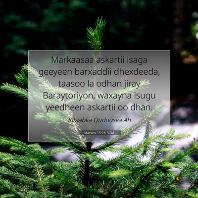 Picture 07 - Markos 15:16 SOM - Markaasaa askartii isaga geeyeen barxaddii - Bible Verse Picture