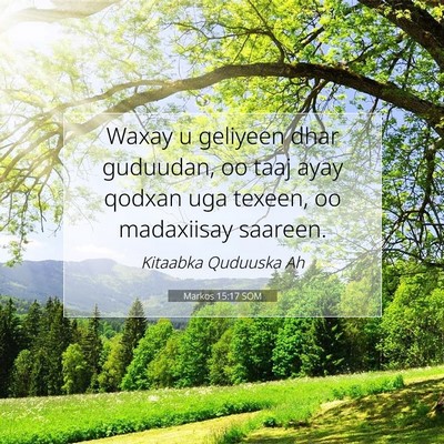 Picture 07 - Markos 15:17 SOM - Waxay u geliyeen dhar guduudan, oo taaj ayay - Bible Verse Picture