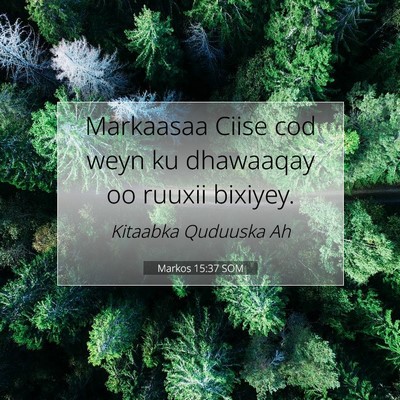 Picture 07 - Markos 15:37 SOM - Markaasaa Ciise cod weyn ku dhawaaqay oo ruuxii - Bible Verse Picture