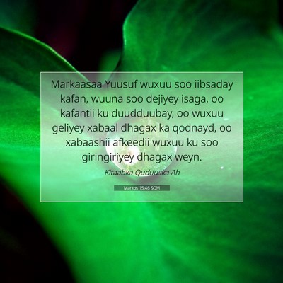 Picture 07 - Markos 15:46 SOM - Markaasaa Yuusuf wuxuu soo iibsaday kafan, wuuna - Bible Verse Picture
